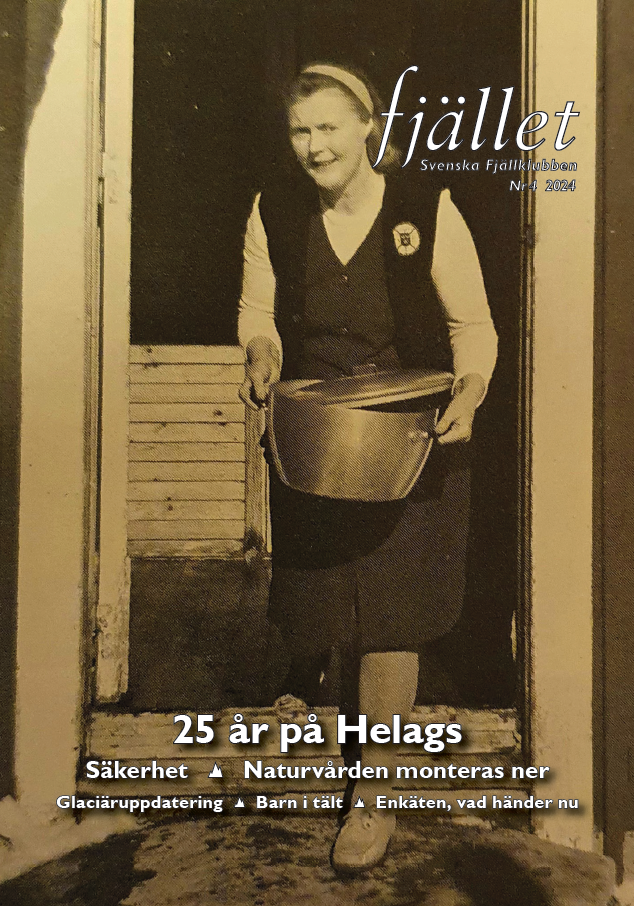 Omslag Fjallet 3 21