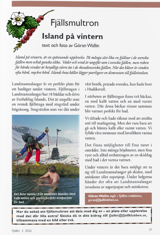 fjallsmultro 4 26