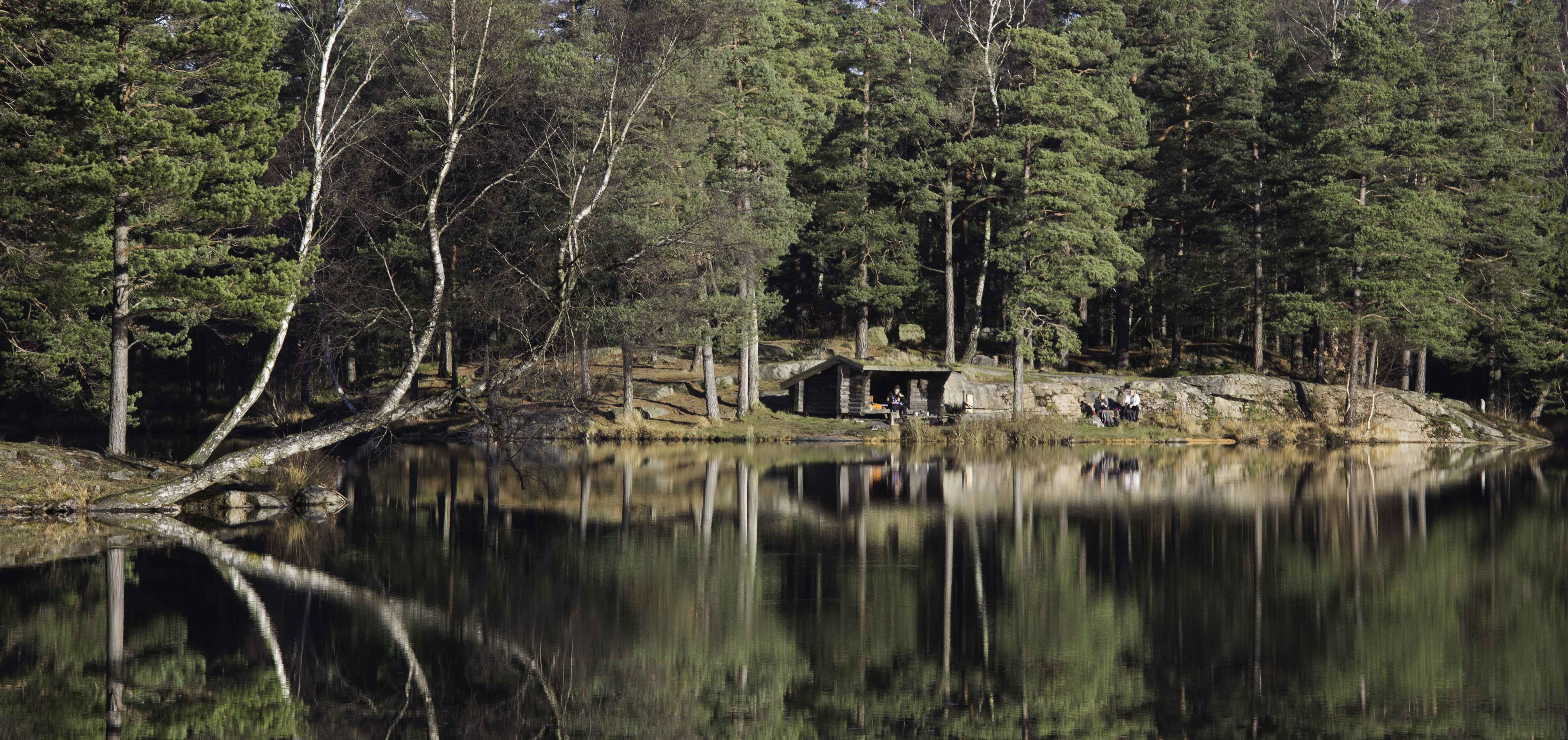 Bild vattlefjall