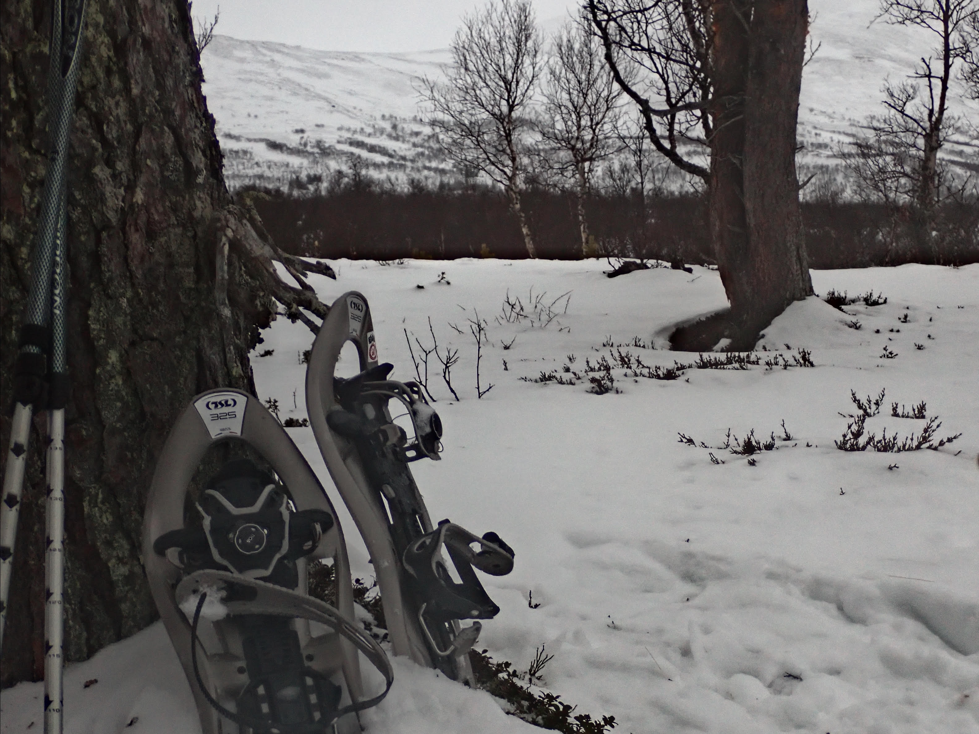 Snöskotur