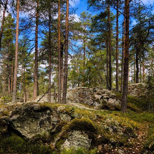 Dagsvandring på Bogesundslandet