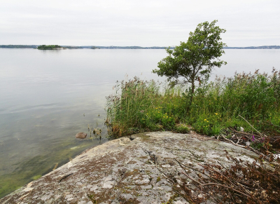 Vandring från Frösviks Brygga